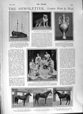 Original Old Antique Print 1901 Hector Ship Bulldog Billy Horses Shamrock Yacht