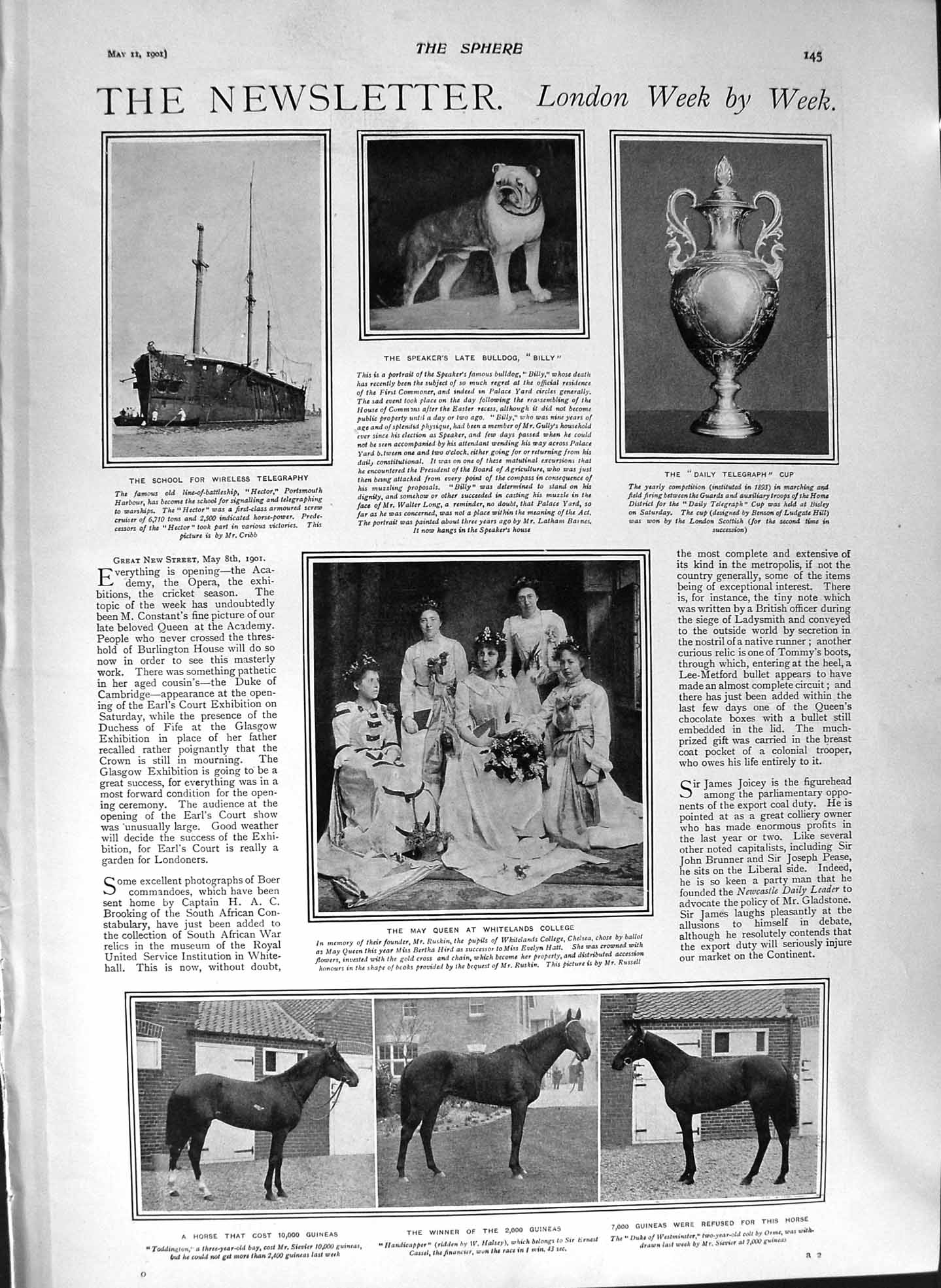 Original Old Antique Print 1901 Hector Ship Bulldog Billy Horses Shamrock Yacht