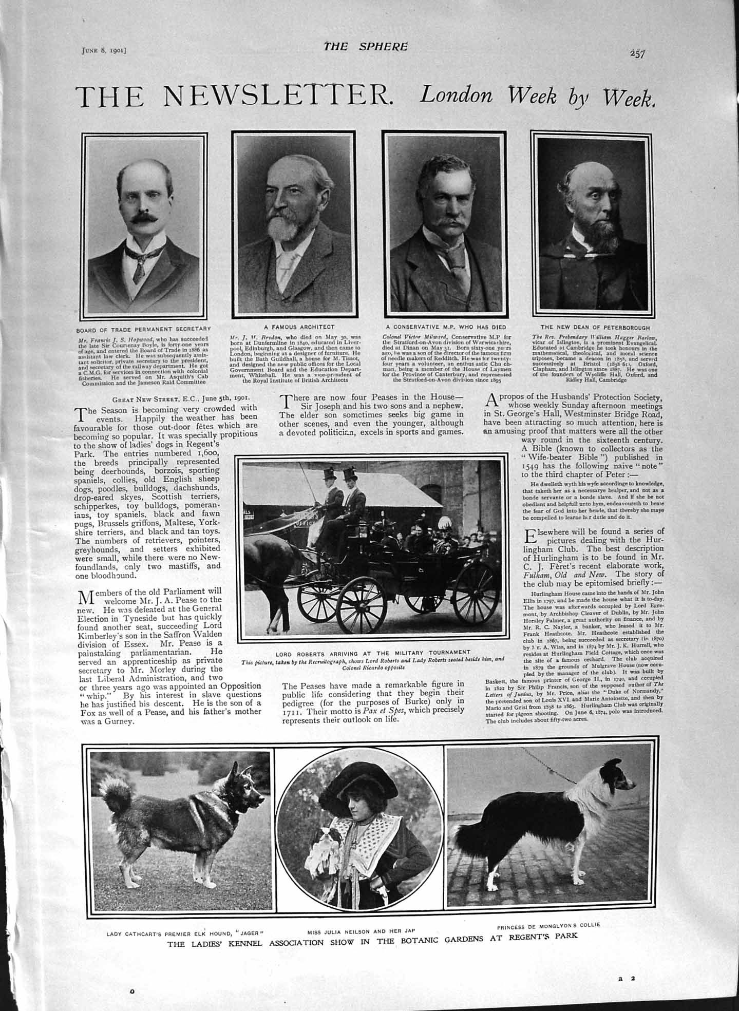 Original Old Antique Print 1901 Hopwood Milward Dog Roberts Smith-Dorrien Hyde