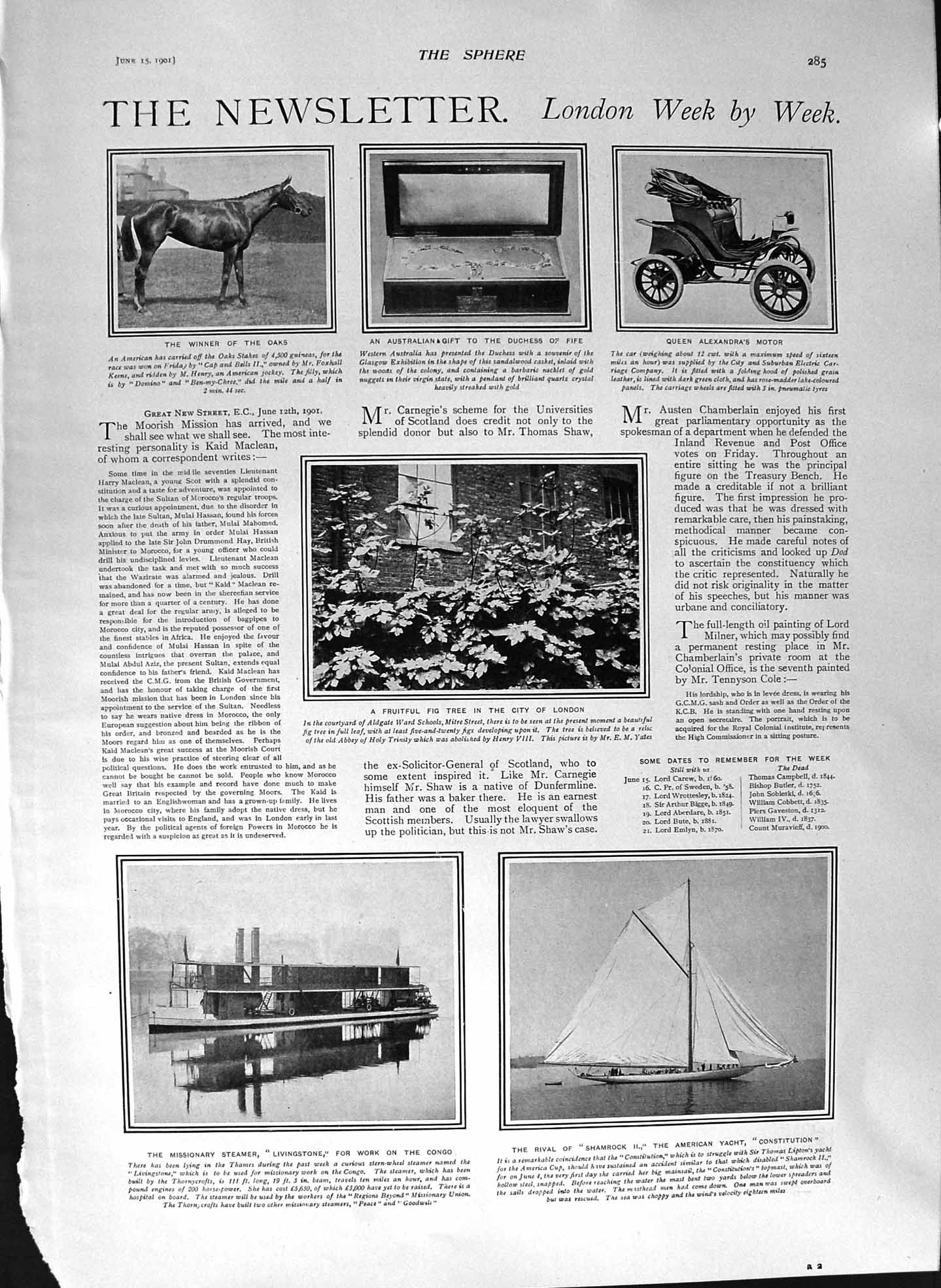 Original Old Antique Print 1901 Horse Livingstone Boat Congo Constitution Golf