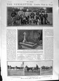 Original Old Antique Print 1901 Siers Dogs Richmond Pretoria Kilburn Bowls 20th