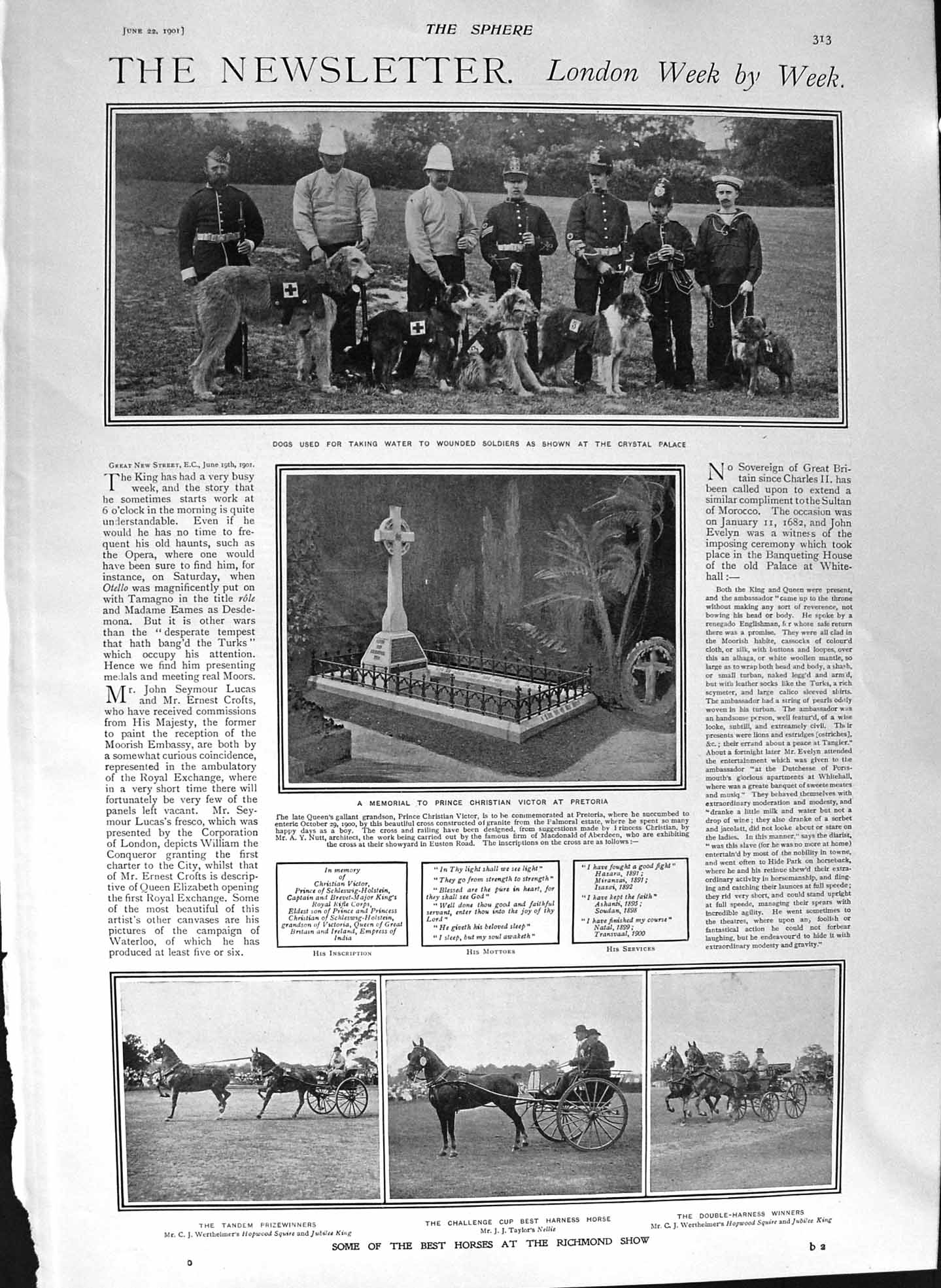 Original Old Antique Print 1901 Siers Dogs Richmond Pretoria Kilburn Bowls 20th