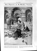 Old Antique Print 1901 Pigeons Mark'S Venice Italy African Medal Edward 20th