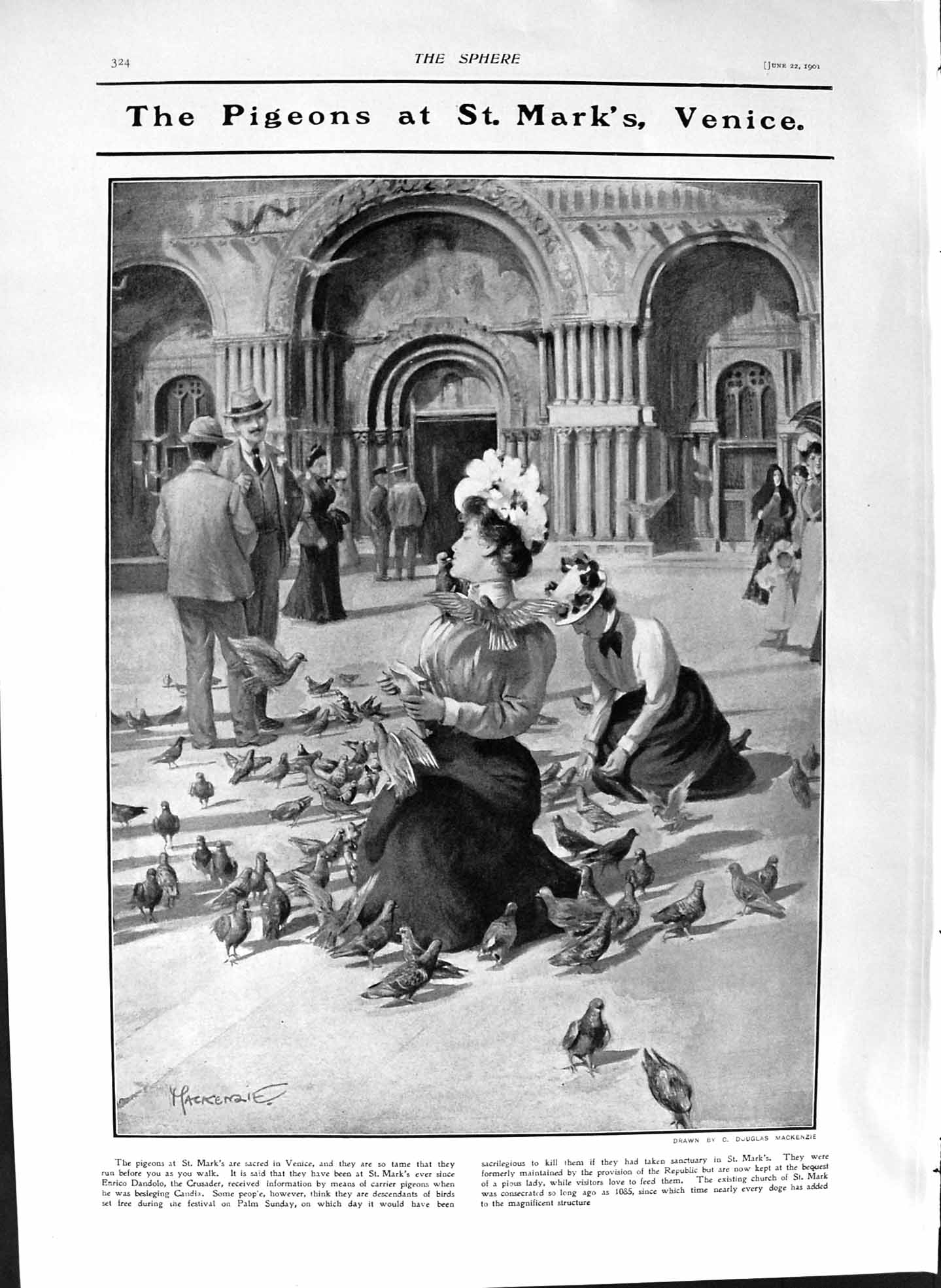 Old Antique Print 1901 Pigeons Mark'S Venice Italy African Medal Edward 20th