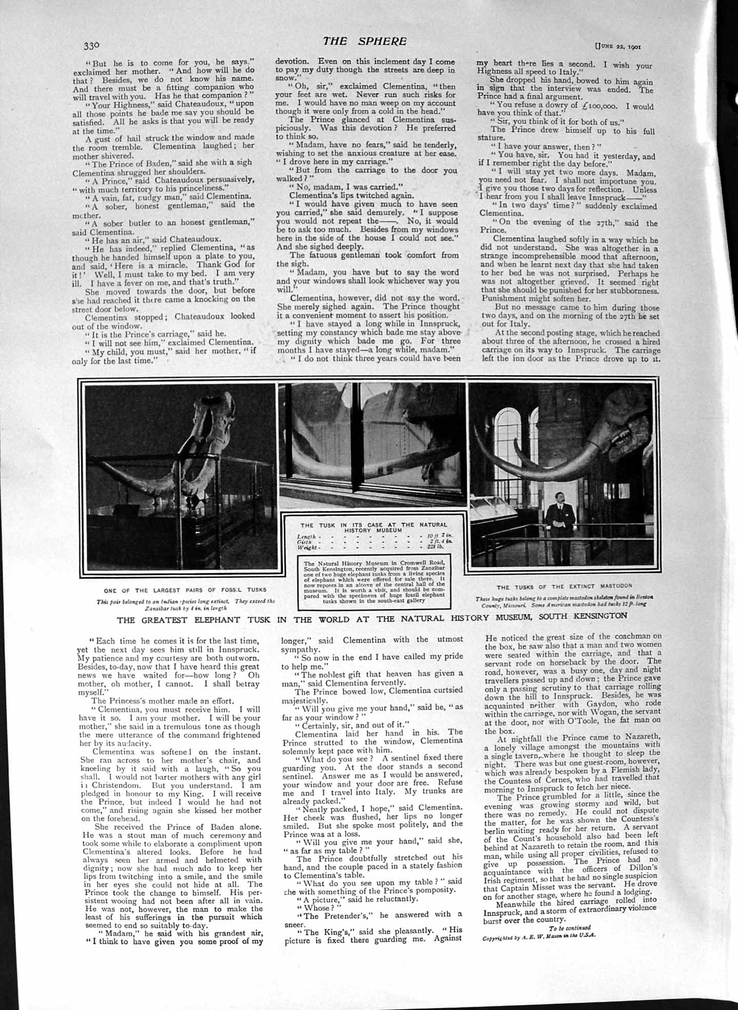 Old Antique Print 1901 Elephant Tusk Mastodon History Museum Kensington 20th