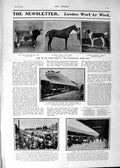 Old 1901 Peterborough Horse Show Bull Foxhound Ship Walmer Castle Tra Victorian