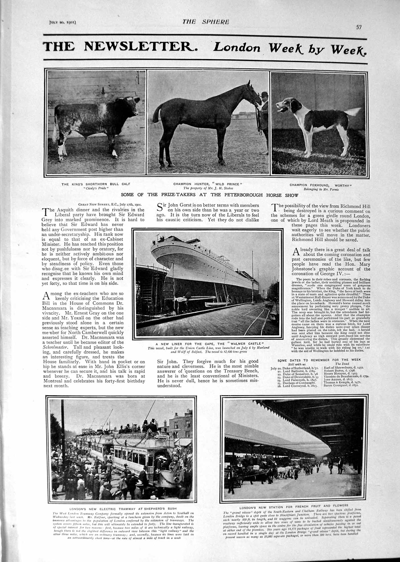 Old 1901 Peterborough Horse Show Bull Foxhound Ship Walmer Castle Tra Victorian