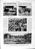 Old 1901 Transport Goat Horse Sandown Excavating Catherine Bennett Om Victorian
