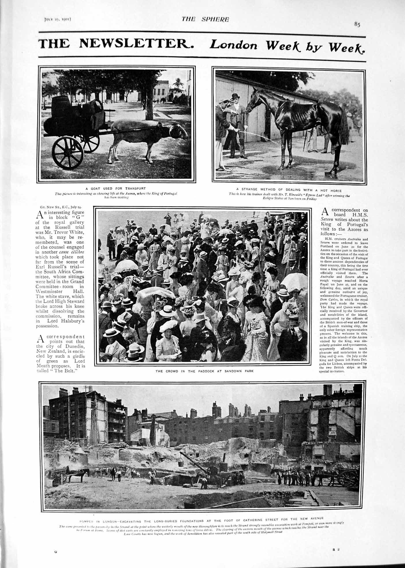 Old 1901 Transport Goat Horse Sandown Excavating Catherine Bennett Om Victorian