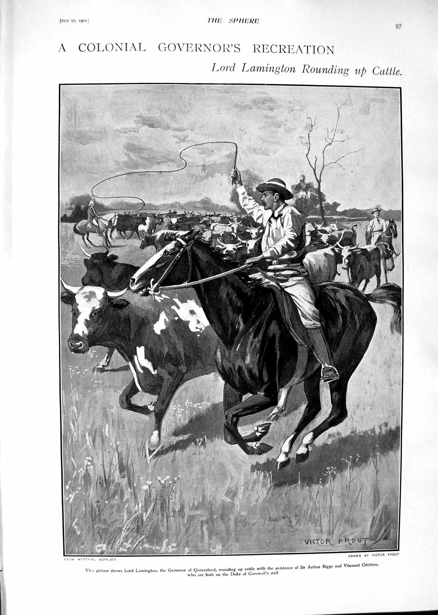Old 1901 Lord Lamington Cattle Bigge Crichton Australia Liberal Roseb Victorian