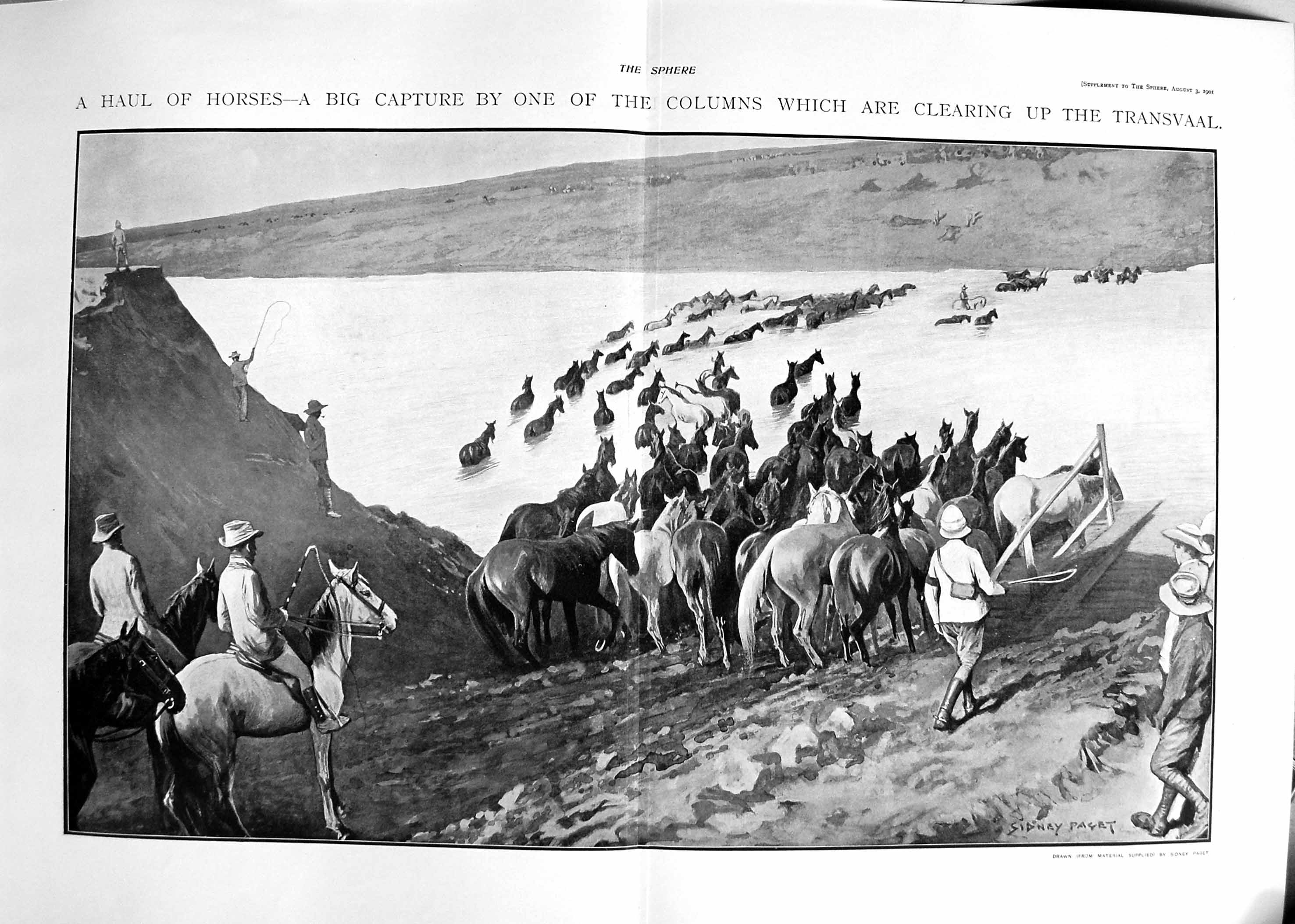 Old 1901 Horses River Capture Columns Transvaal War Siers Sidney PVictorian