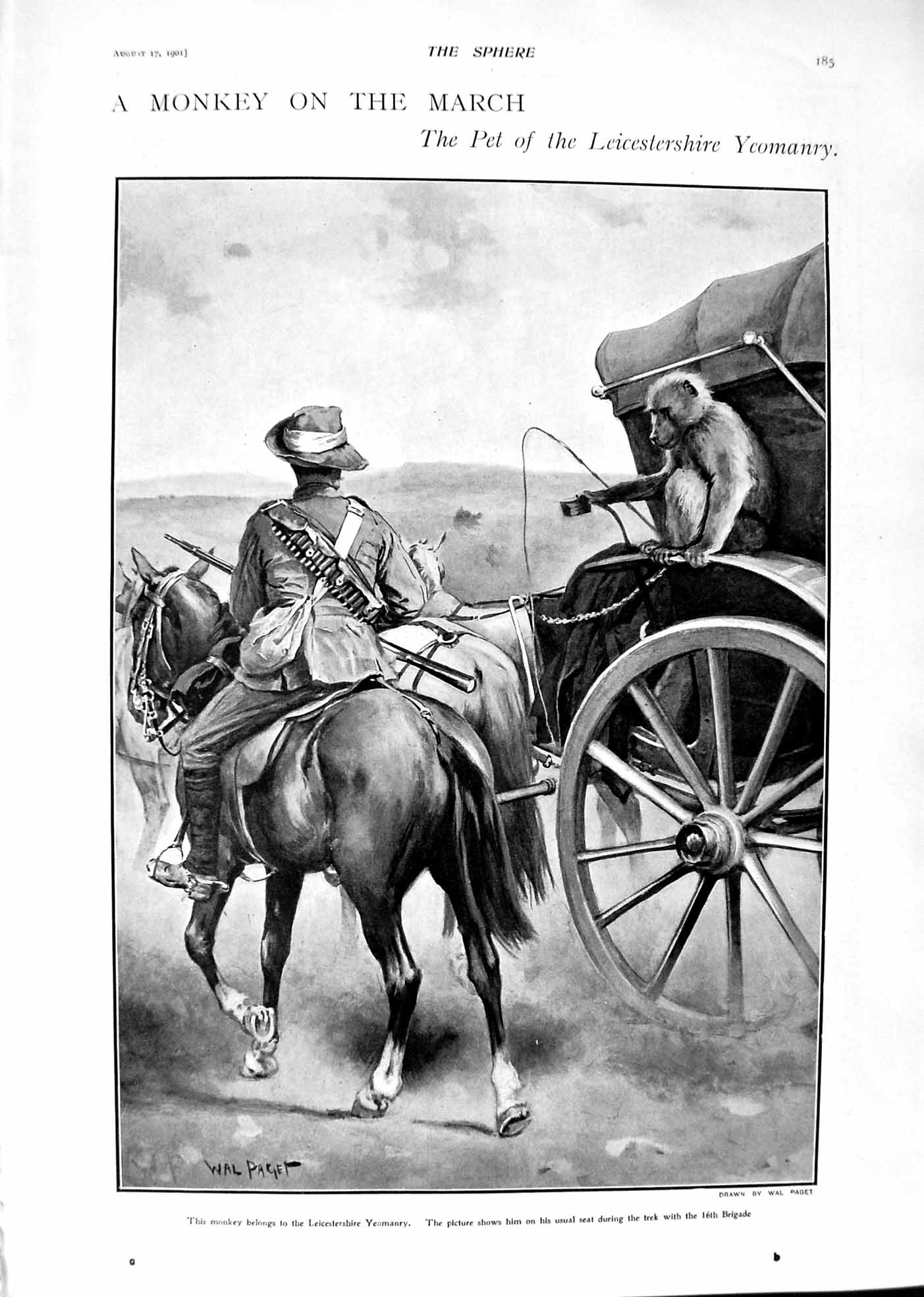 Old 1901 Pet Monkey Leicestershire Yeomanry War Count Waldersee Kobe Victorian
