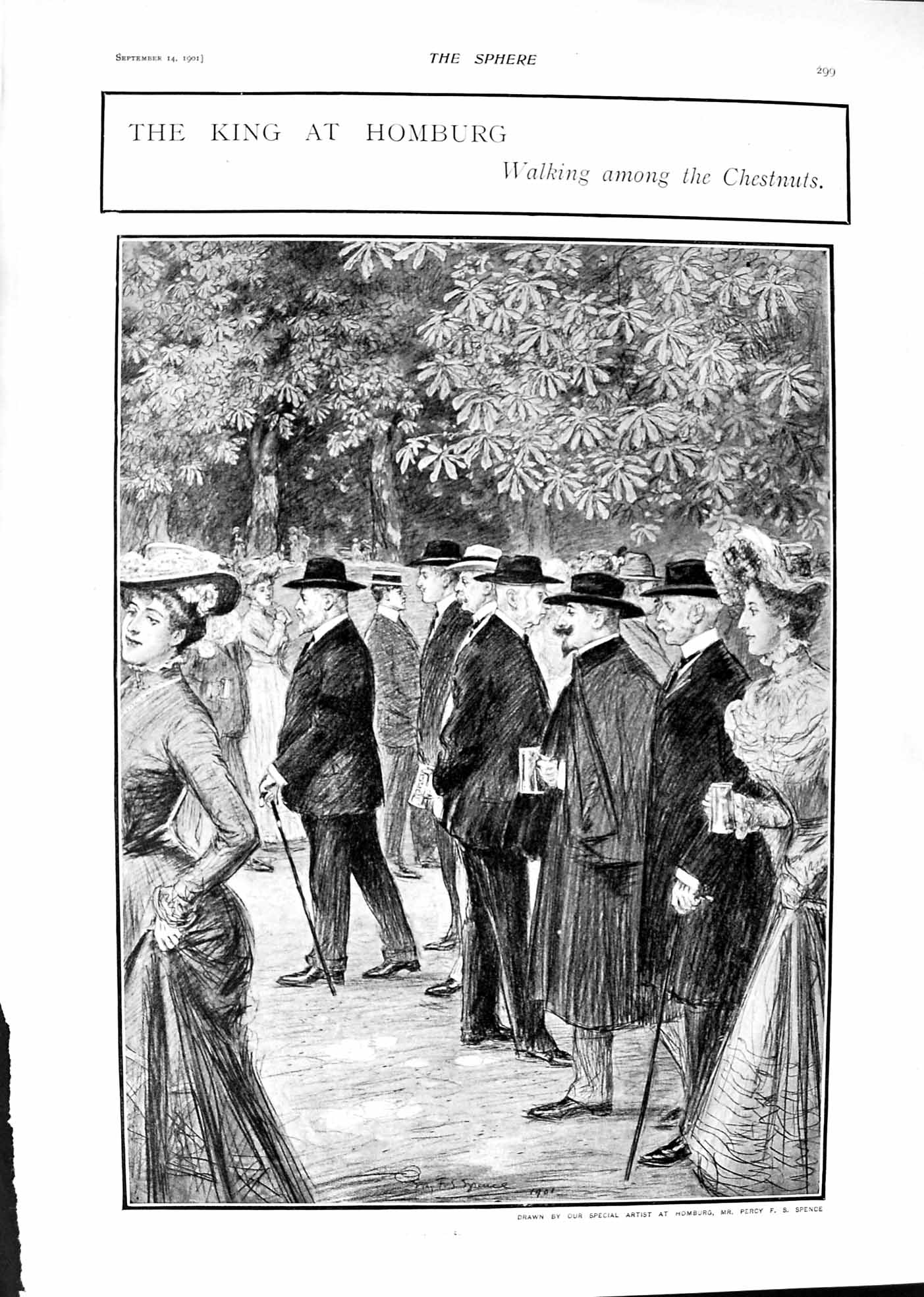 Old 1901 King Homburg Chestnut Trees Duke Cornwall Greenmarket Cape T Victorian