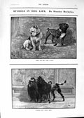 Old 1901 Stanley Berkeley Art Dogs War Artillery Horses Drinking Rive Victorian