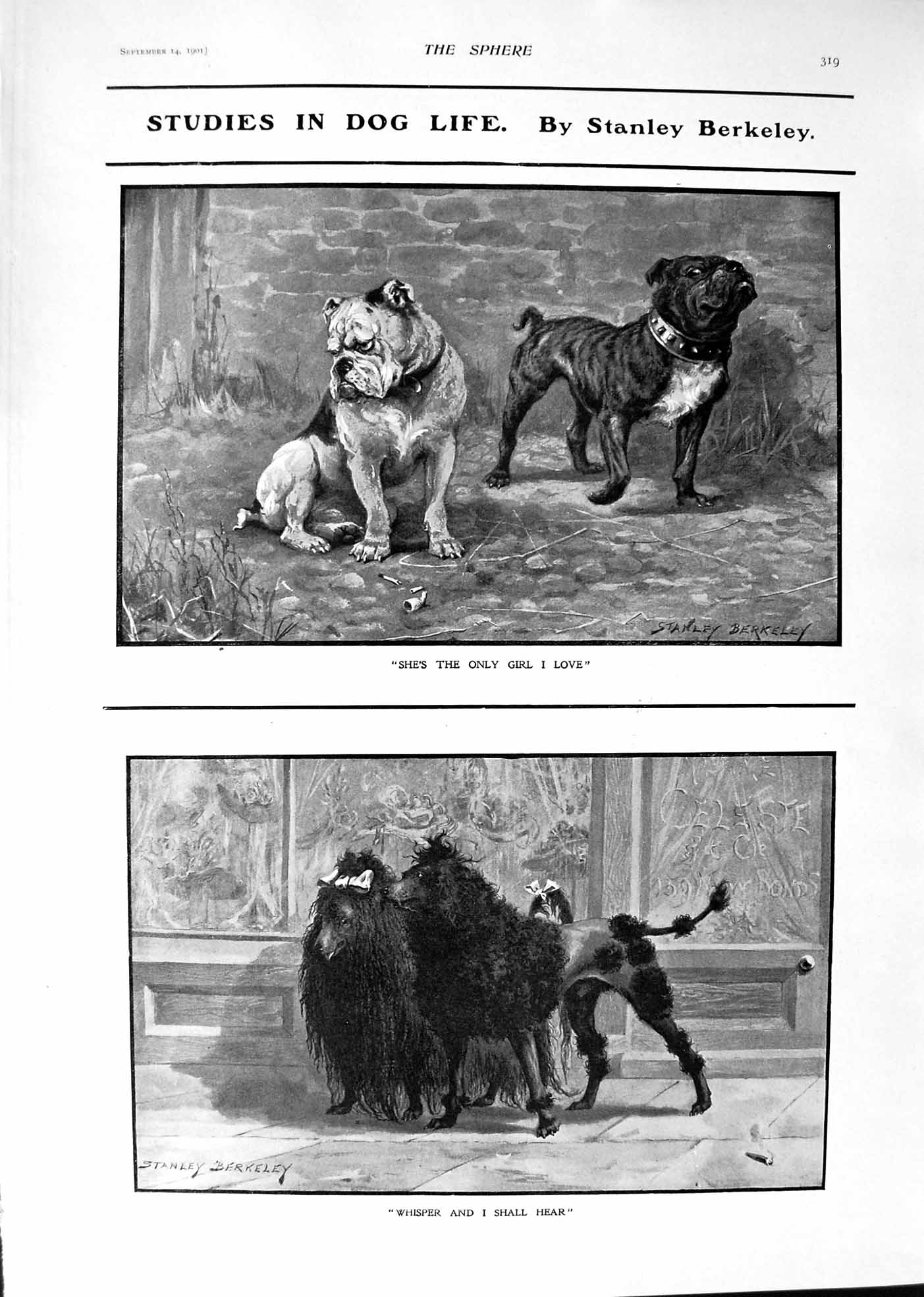 Old 1901 Stanley Berkeley Art Dogs War Artillery Horses Drinking Rive Victorian
