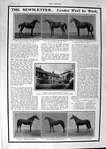 Old 1901 Wolvesey Palace Horses Wadlow Kincaid Musker Kendal Presiden Victorian