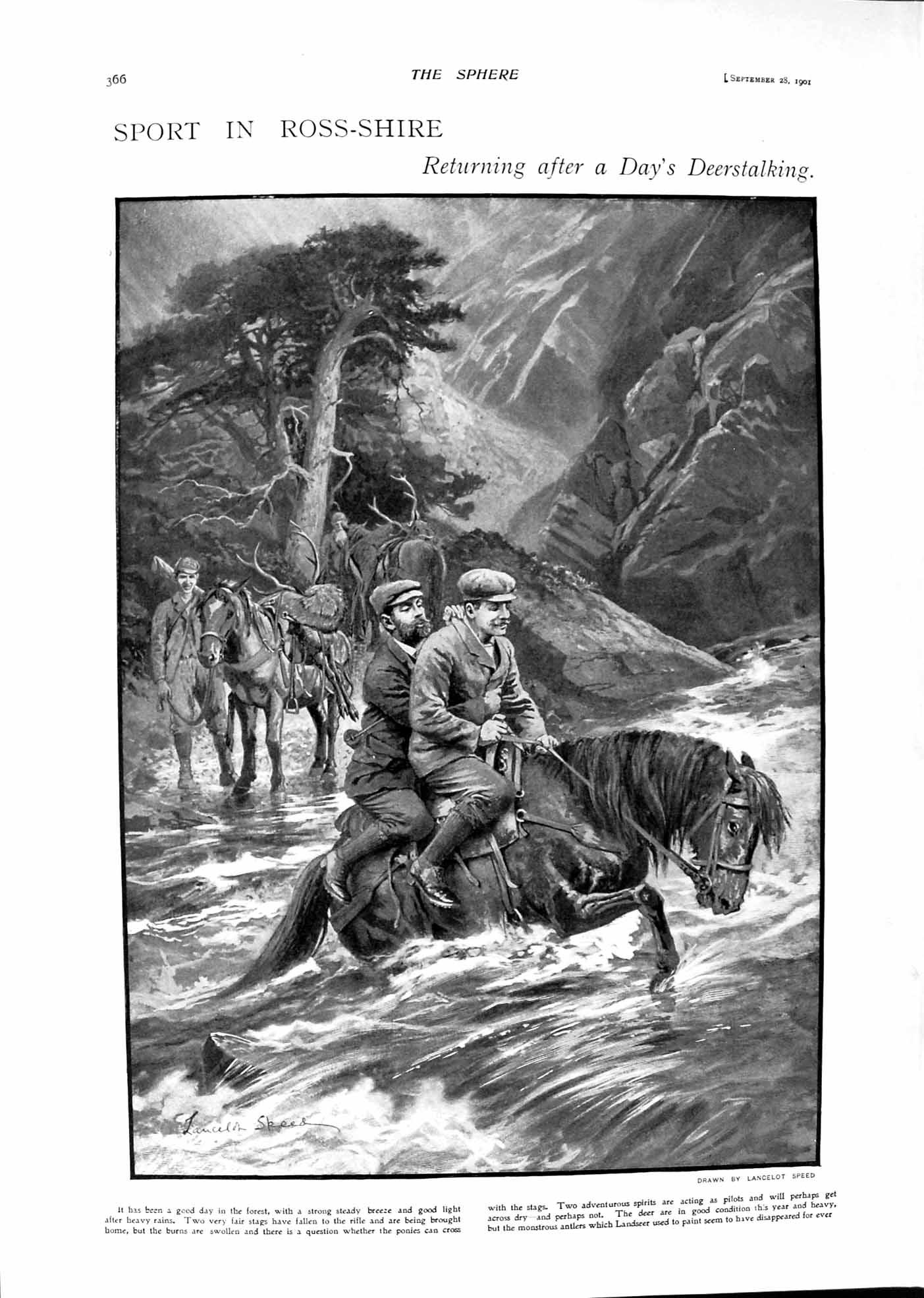 Old 1901 Deer Stalking Ross-Shire Stags Hunting President Mckinley To Victorian