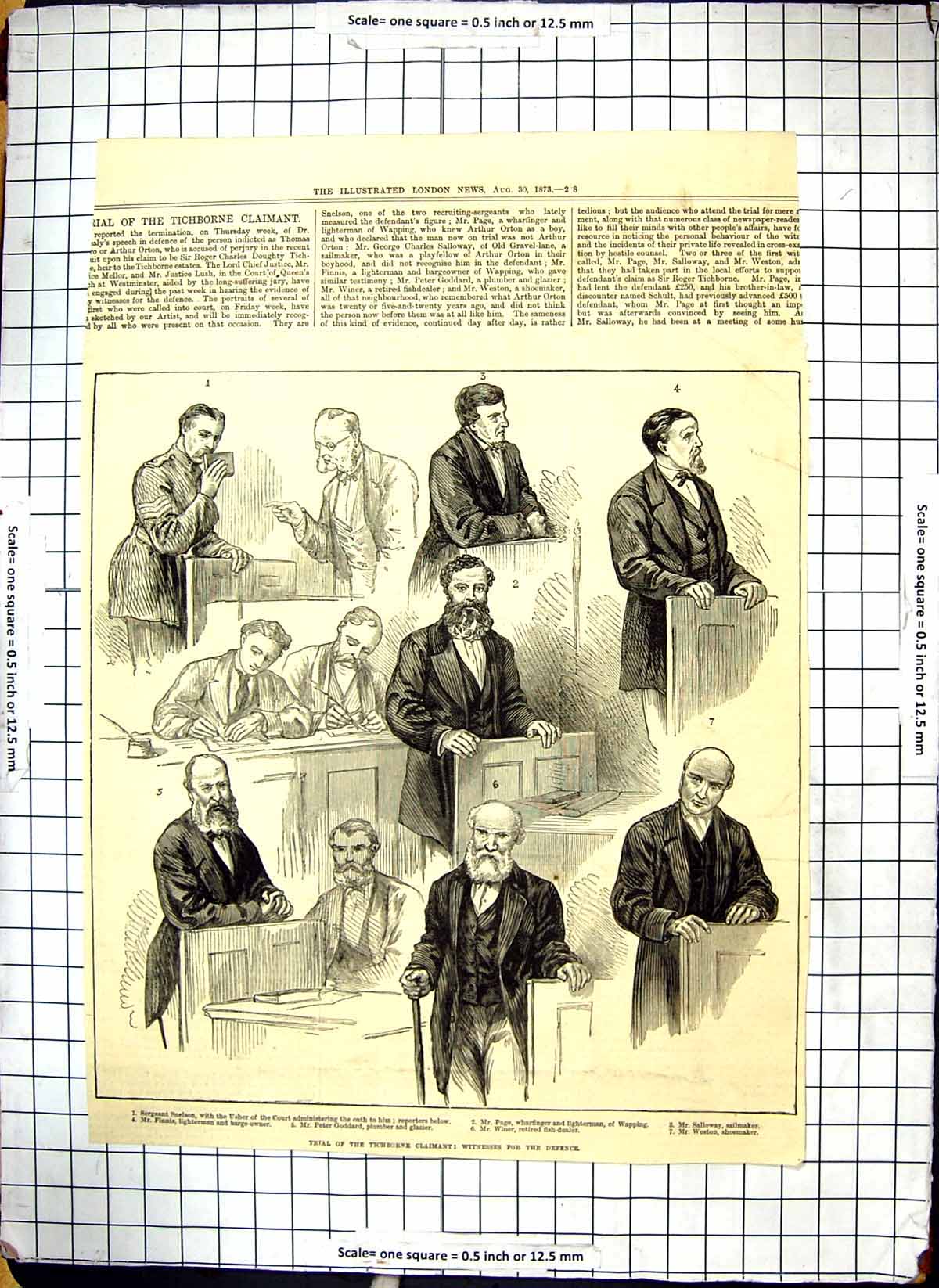 Old 1873 Tichborne Claimant Trial Defence Witnesses Page Winer Weston Victorian