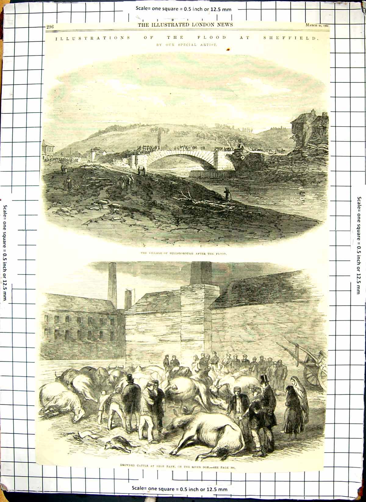 Old Sheffield Flood Hillsborough Village Drowned Cattle River Don 186 Victorian