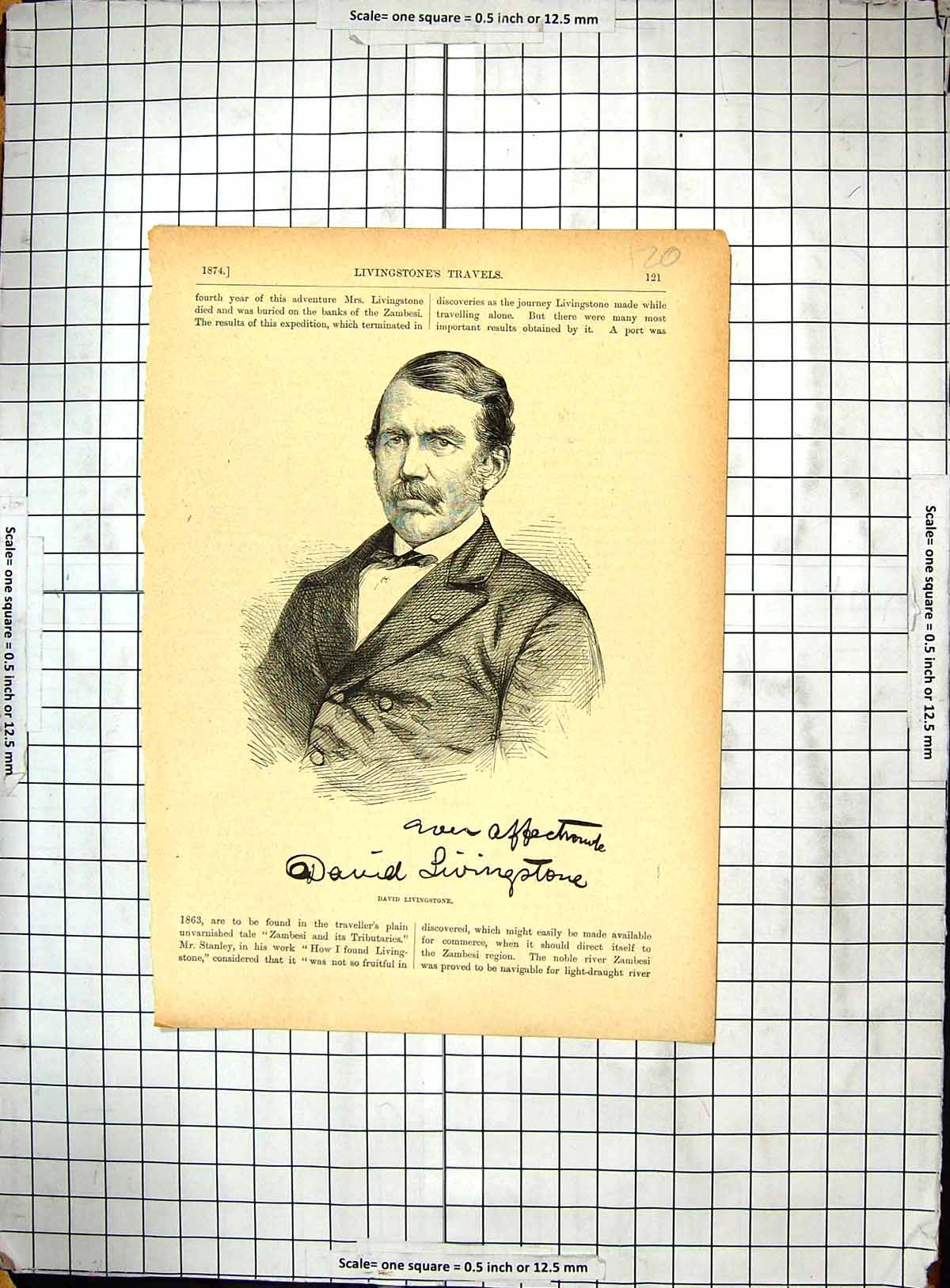 Original Old Antique Print Portrait David Livingstone Explorer