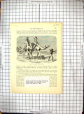 Antique Print Mr Baker Journey Camels Dancing Natives Africa Refreshments