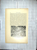 Antique Old Print 1884 Africa Ship Storm Coffinieres Typhoon Sea Chronica 19th