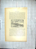 Original Old Antique Print Africa Storm Scene Lightening View Town Houses