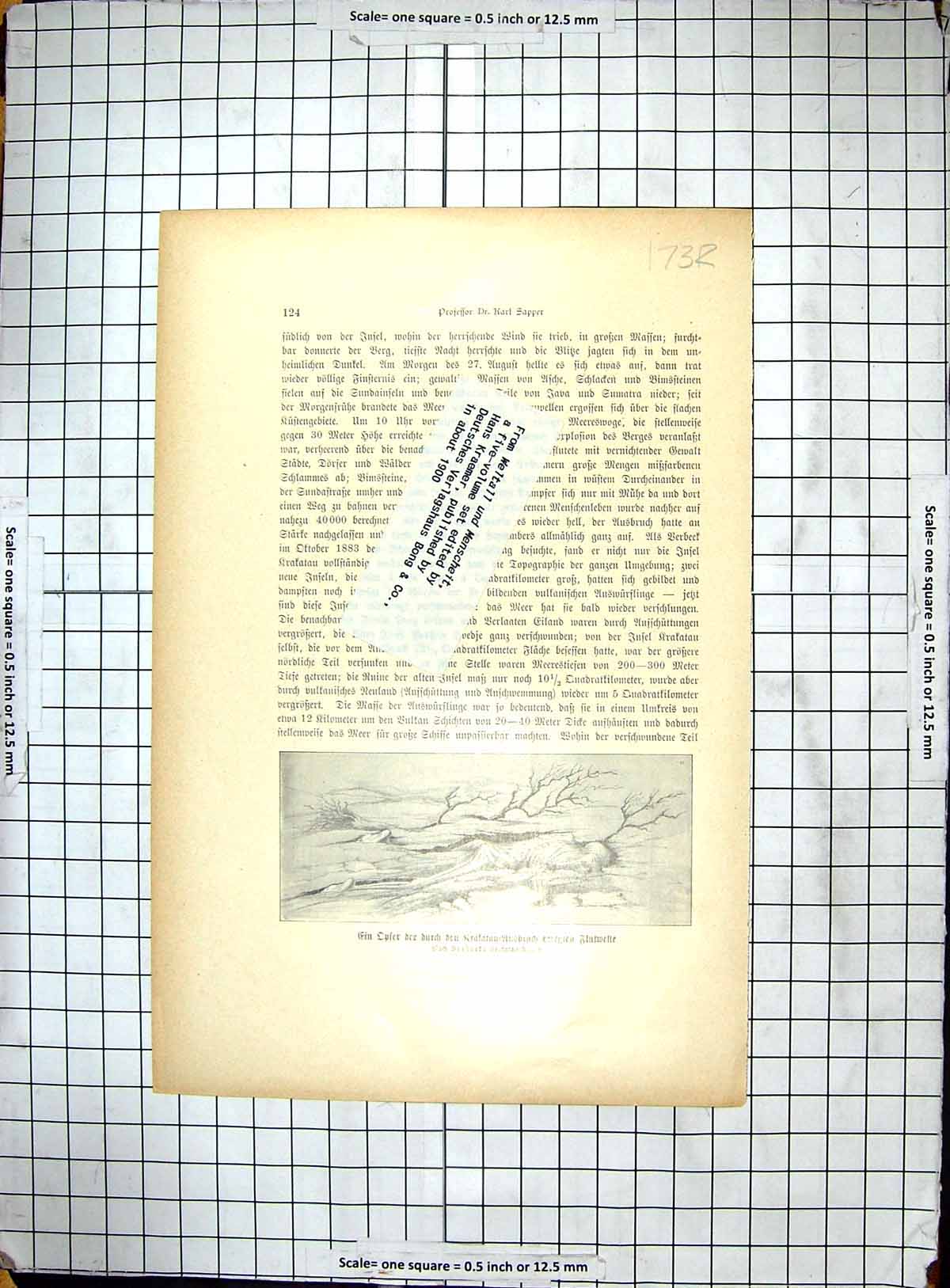 Original Old Antique Print 1883 View Mountain Sea Ship Dead Body Karl Sapper