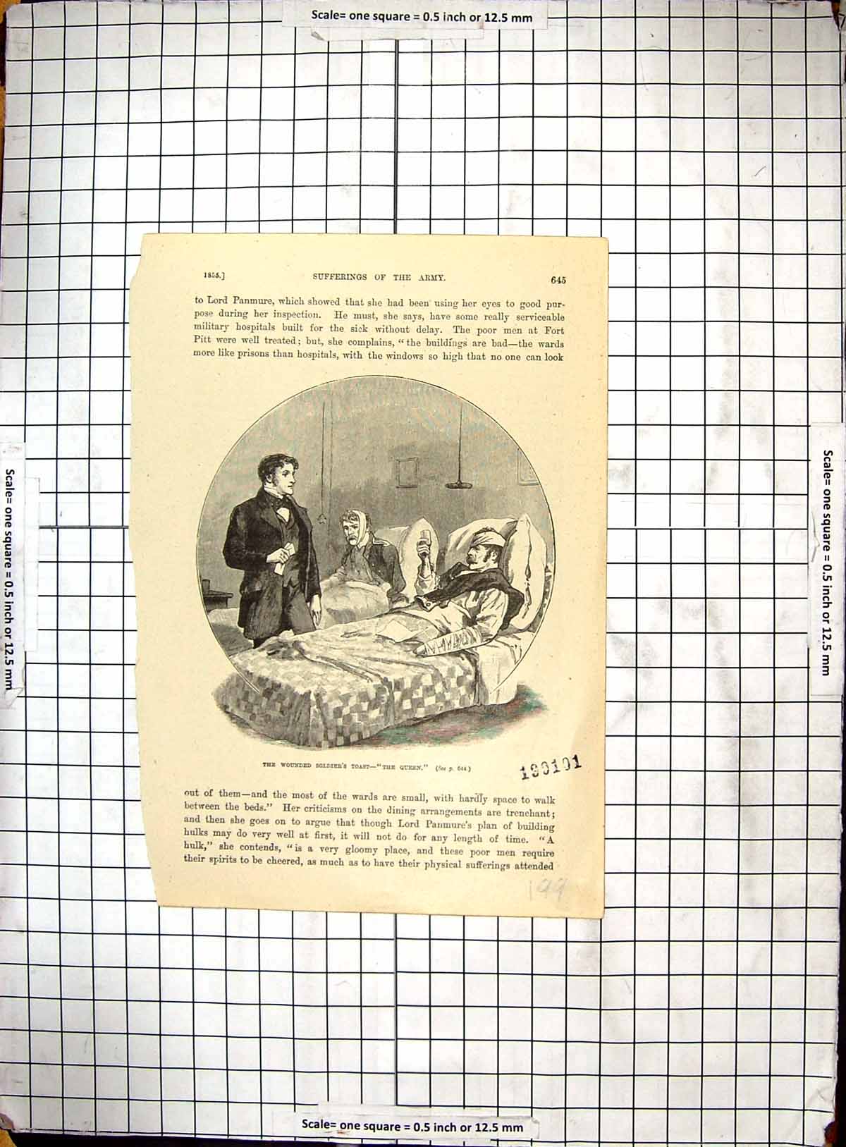 Original Old Antique Print Scene Toast Queen Wounded Sier Hospital Ward Bed War
