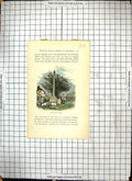 Original Old Antique Print Colour Ancient England Stone Bitterley Cross Salop