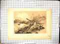 Antique Old Print Frightful Incident Naked Lady Attacked Crocodile Ship Boat