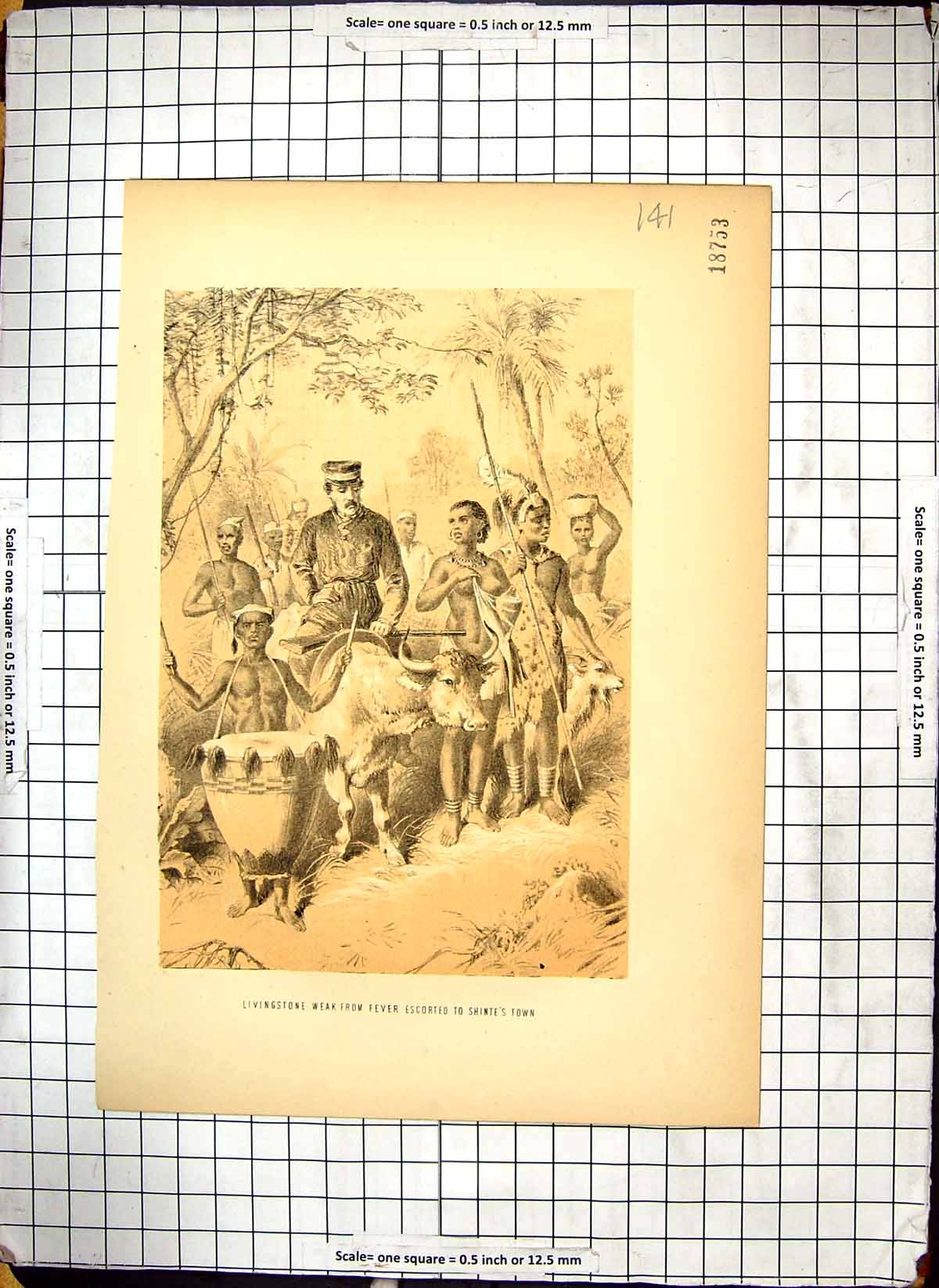 Antique Old Print Explorer Doctor Livingstone Weak Fever Escorted Shinte'S