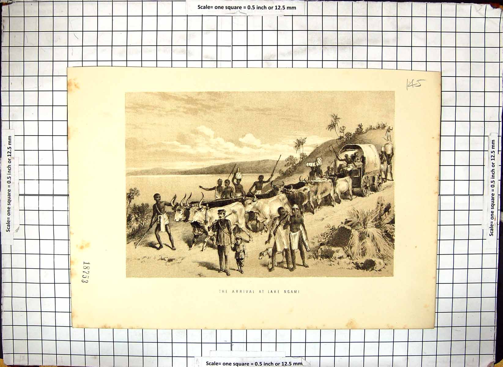 Original Old Antique Print Travellers Scene Arrival Lake Ngami Cattle Cart