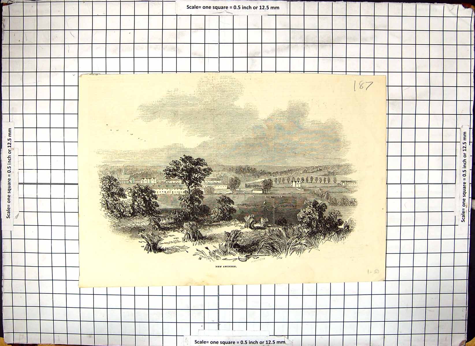Original Old Antique Print New Swindon Scene Trees Church Outdoor Victorian