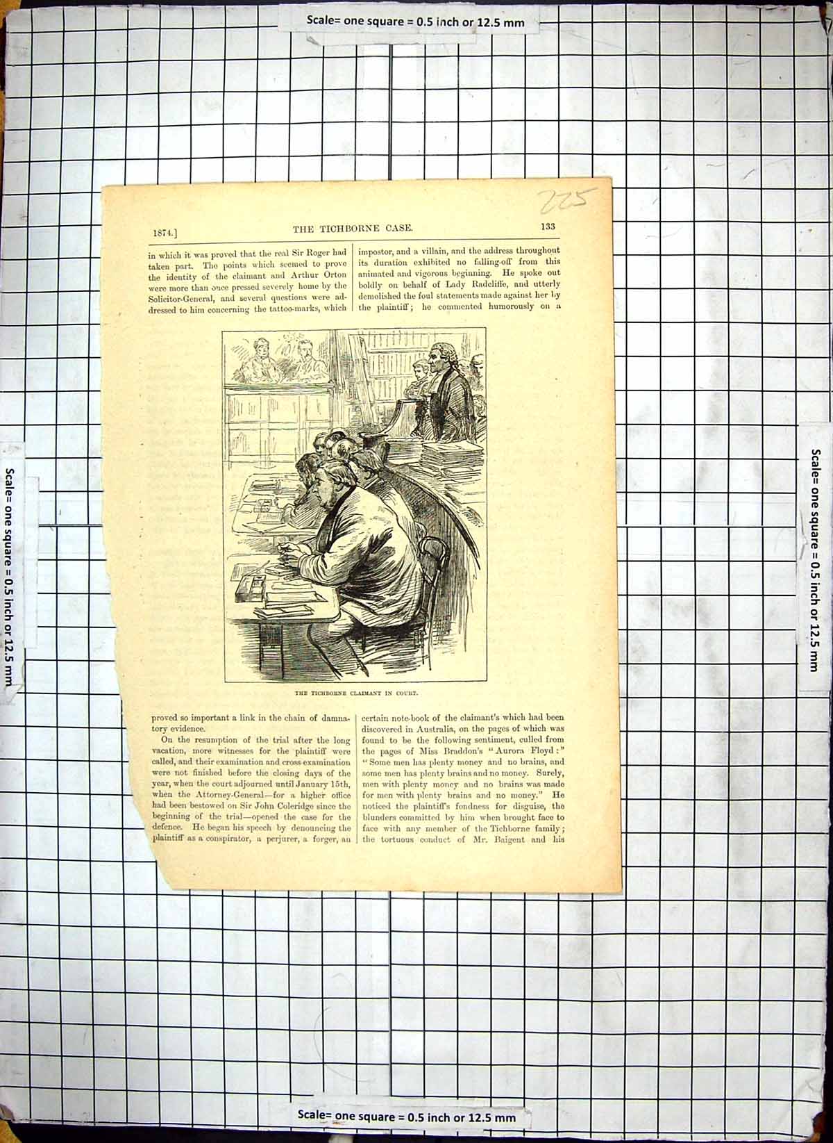 Original Old Antique Print Tichborne Case Court Scene Claimant 1874 Victorian