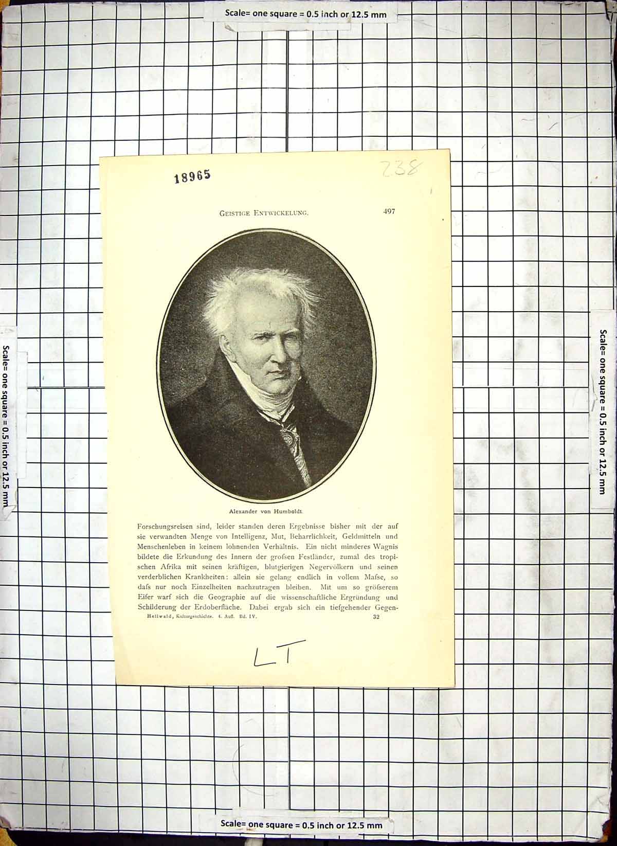 Original Old Antique Print Portrait Alexander Von Humbt Entwickelung