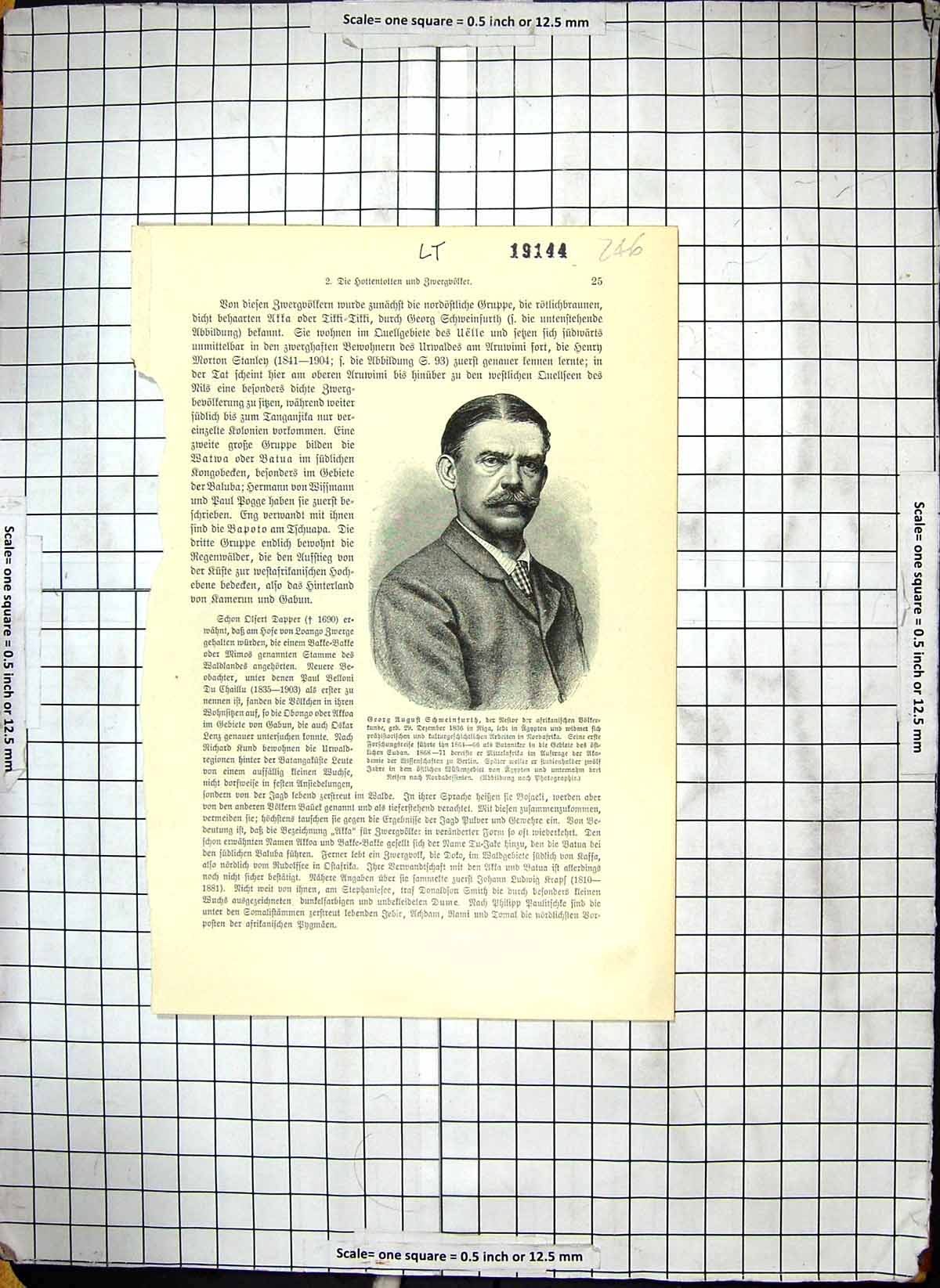 Original Old Antique Print Portrait Georg Chweinfurth