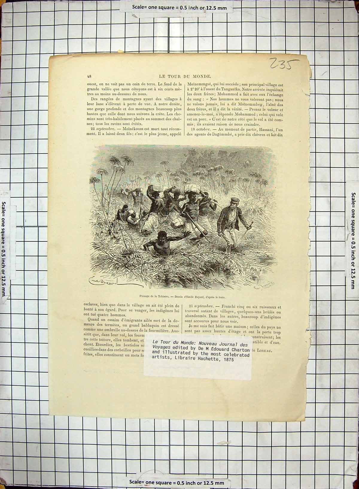 Original Old Antique Print Colonel Egerton Warburton English Explorer Australia