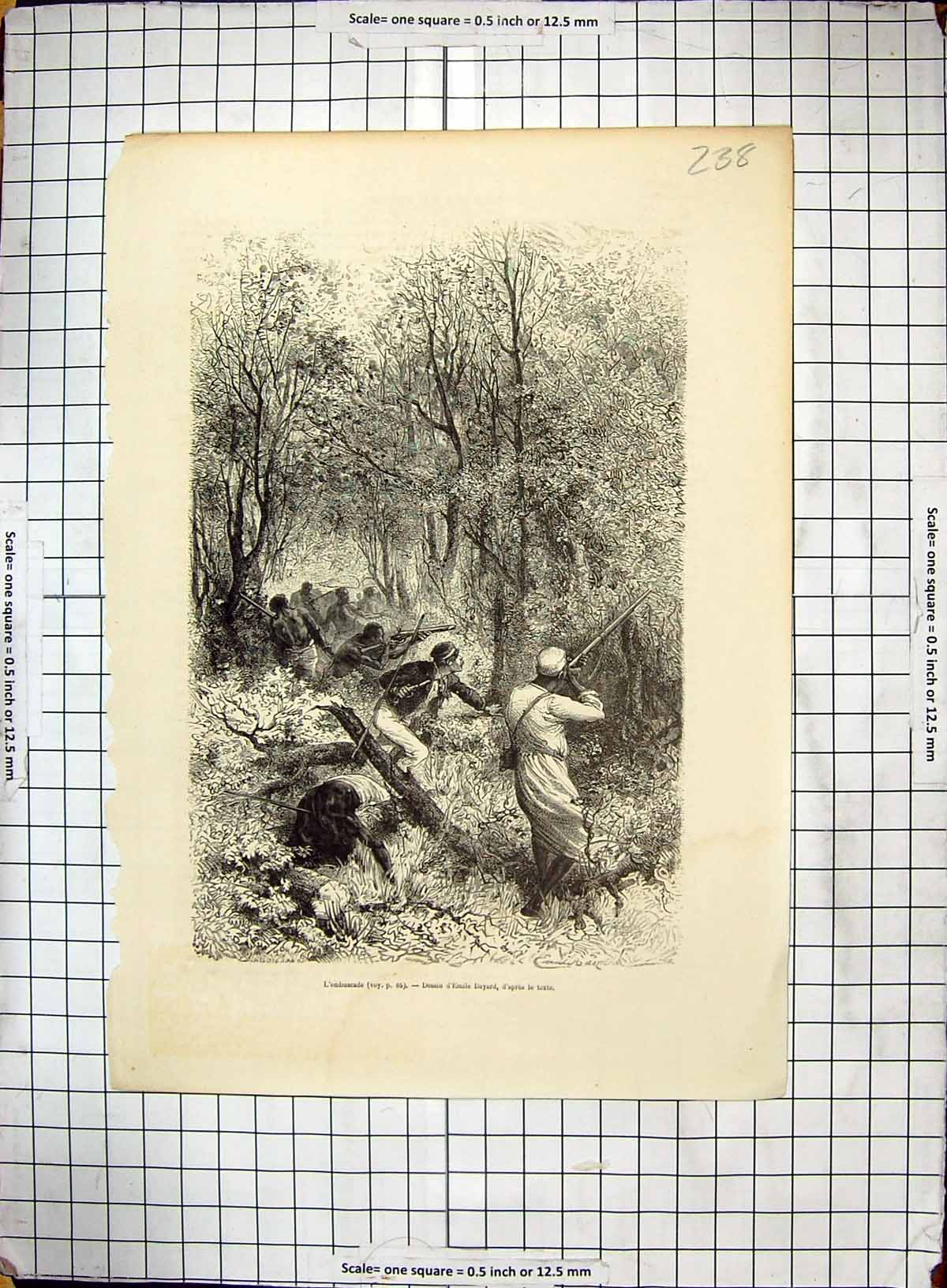 Antique Old Print Colonel Peter Egerton Warburton English Explorer Australia