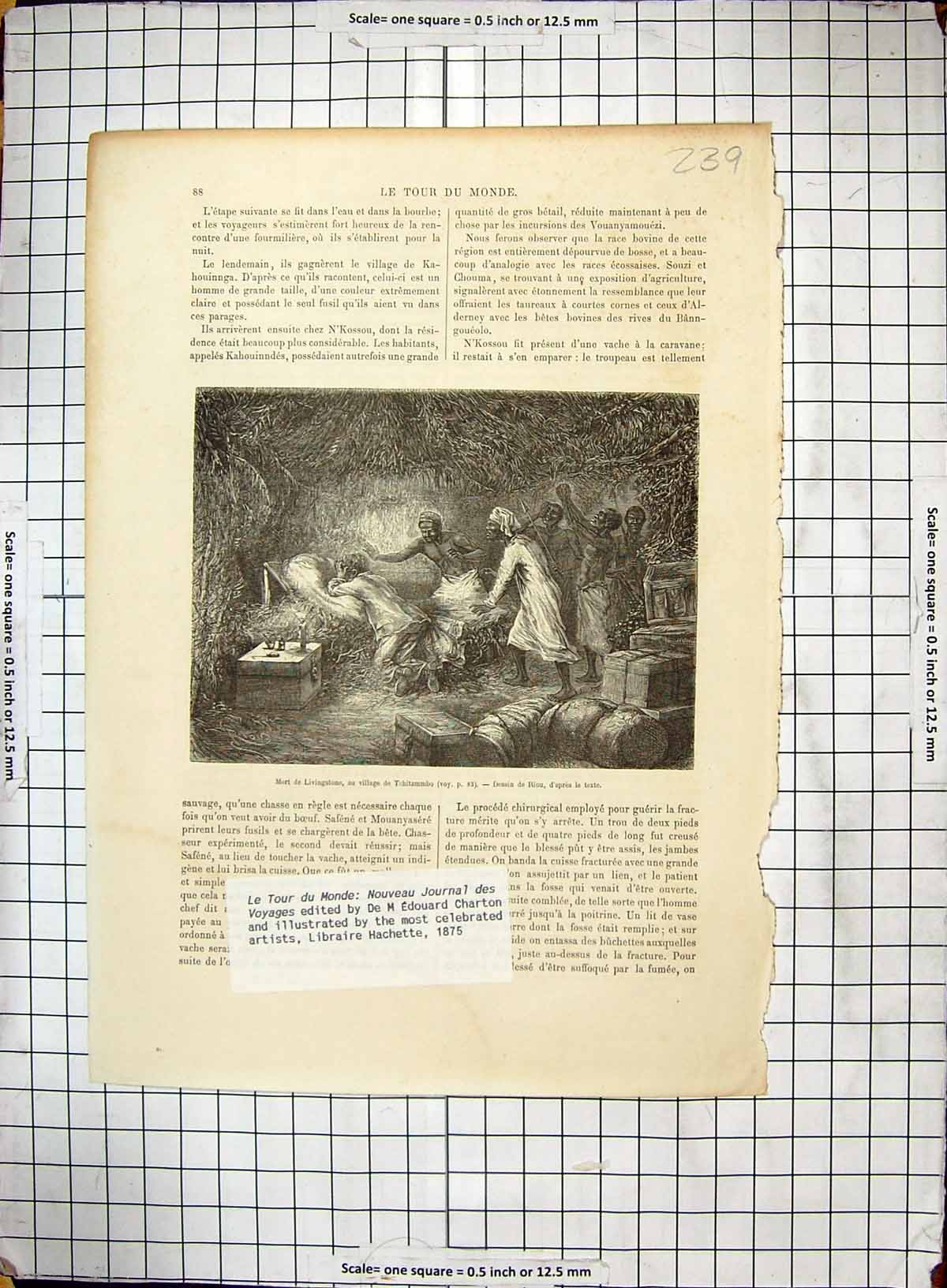 Original Old Antique Print Livingstone Natives Africa Village Tchitammbo