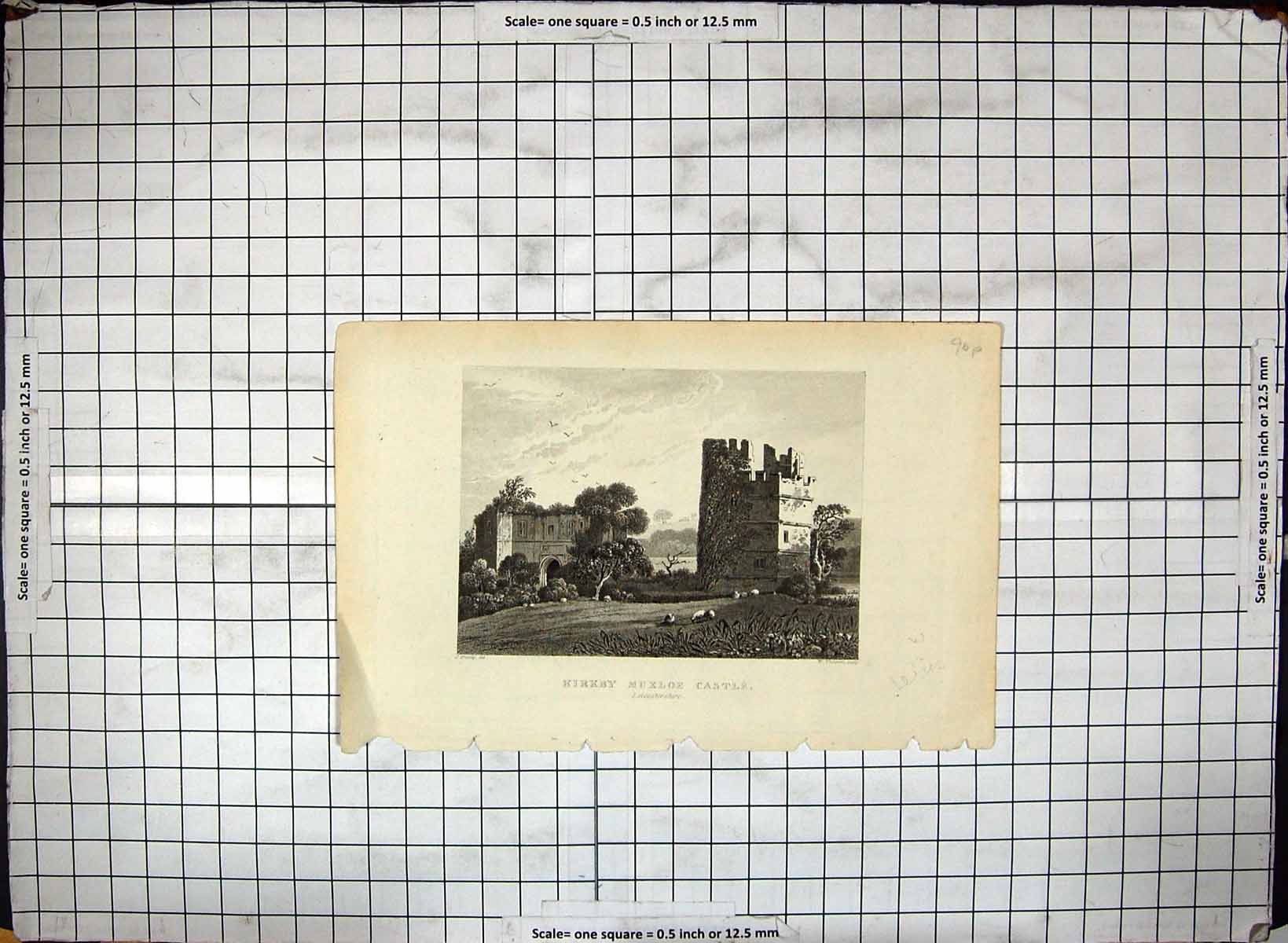 Antique Print Exterior Kirkby Muxloe Castle Leicestershire Sheep Engraving