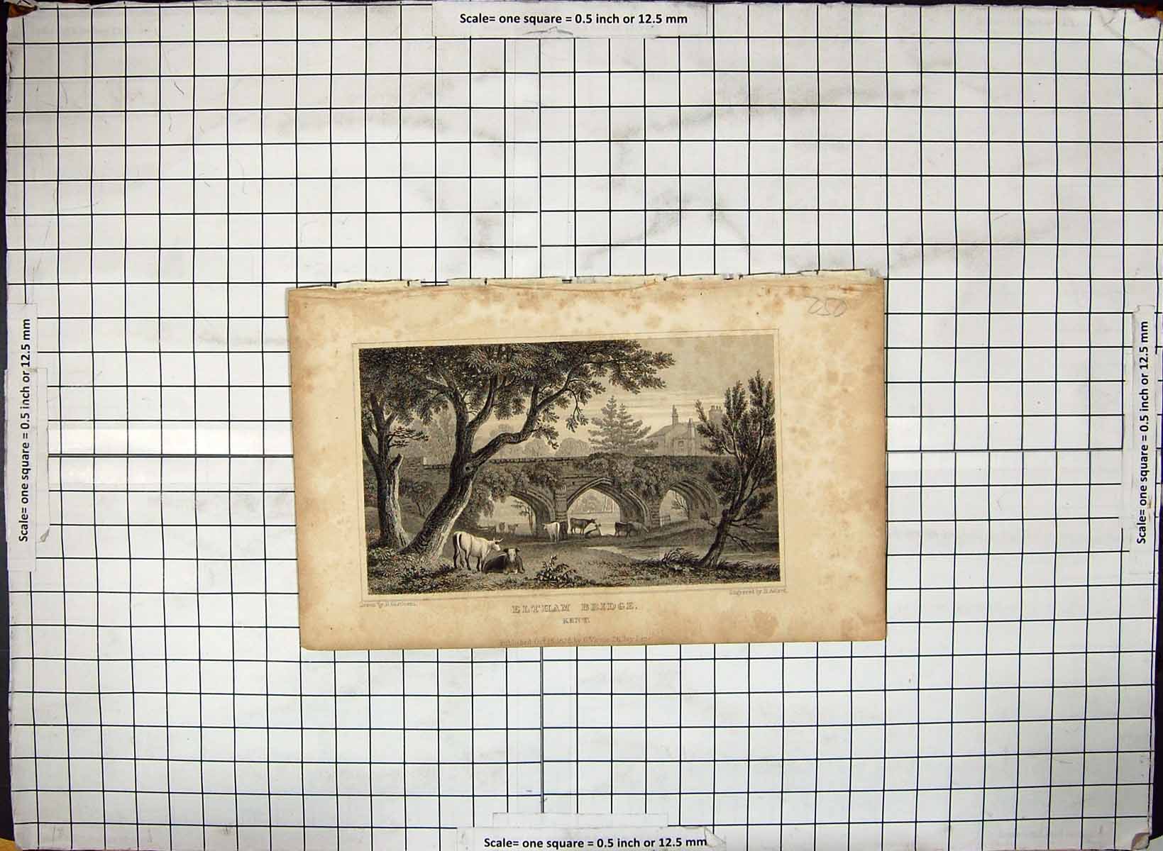 Old Print Eltham Bridge Kent England Cows Engraving 1828 Adlard Gastineau 19th