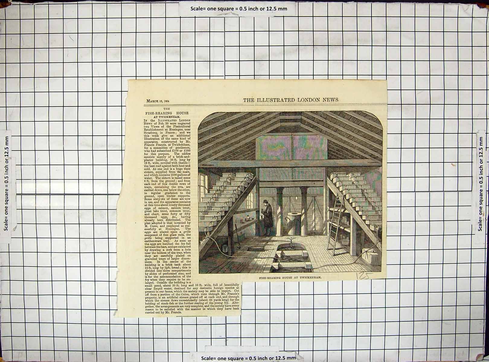 Antique Old Print 1864 Fish Rearing House Twickenham Piscicultural Huningue