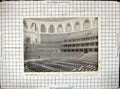 Original Old Antique Print Interior Royal Albert Hall Boxes Orchestra