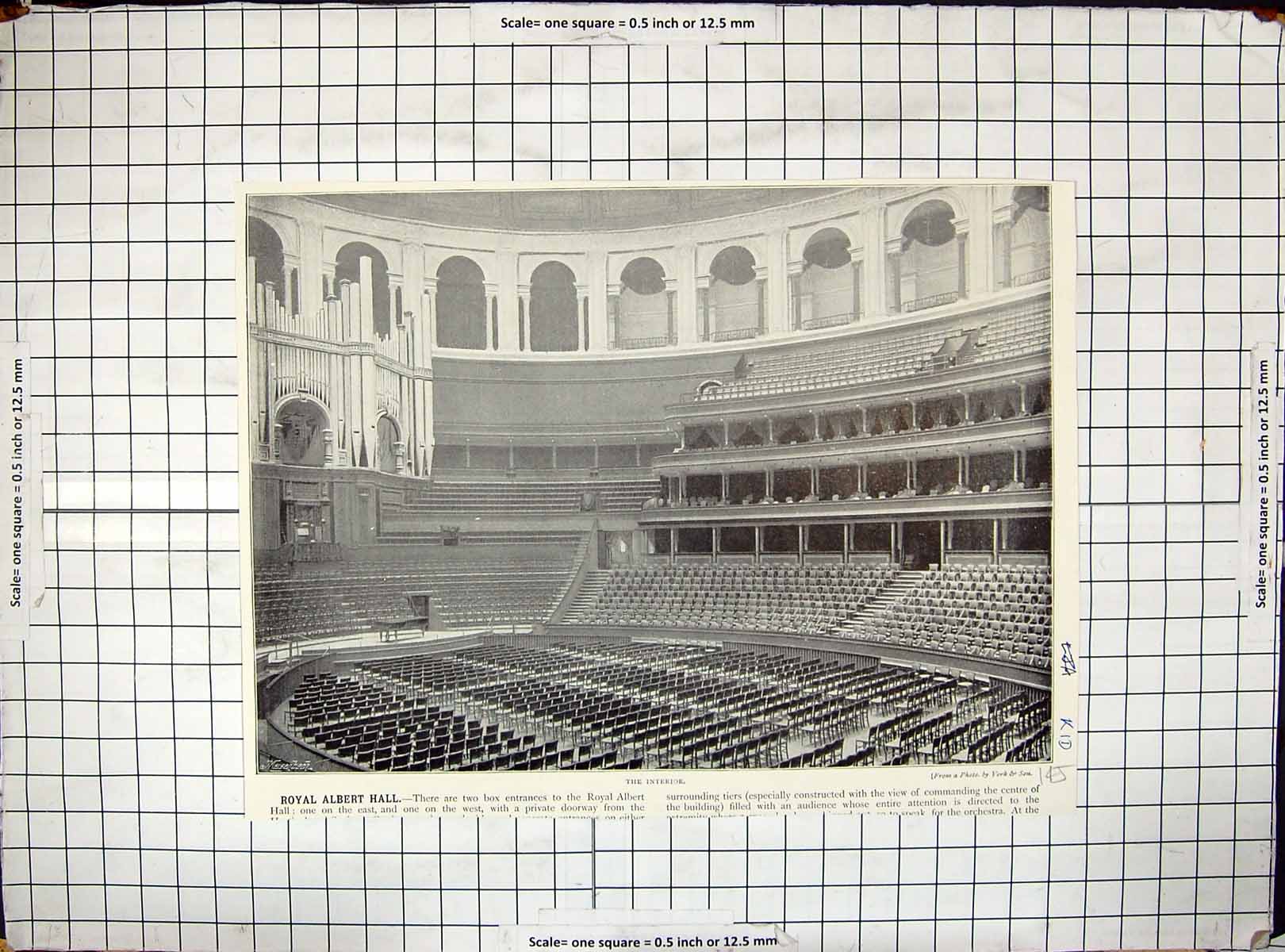 Original Old Antique Print Interior Royal Albert Hall Boxes Orchestra