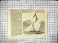 Antique Old Print Volante Royal Thames Yacht Club Grand Challenge Cup Sport