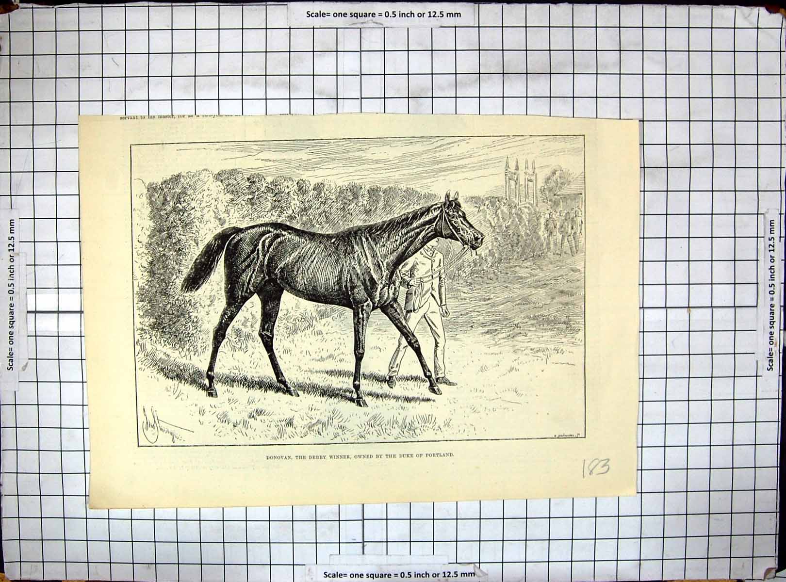 Original Old Antique Print Donovan Derby Horse Race Winner Duke Portland 19th