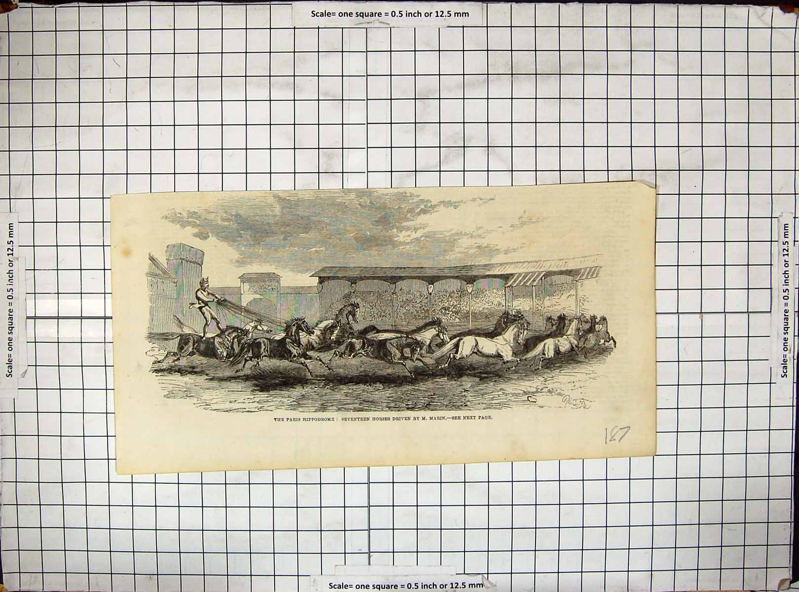 Old Antique Print Paris Hippodrome Seventeen Horses Driven Marin France 19th