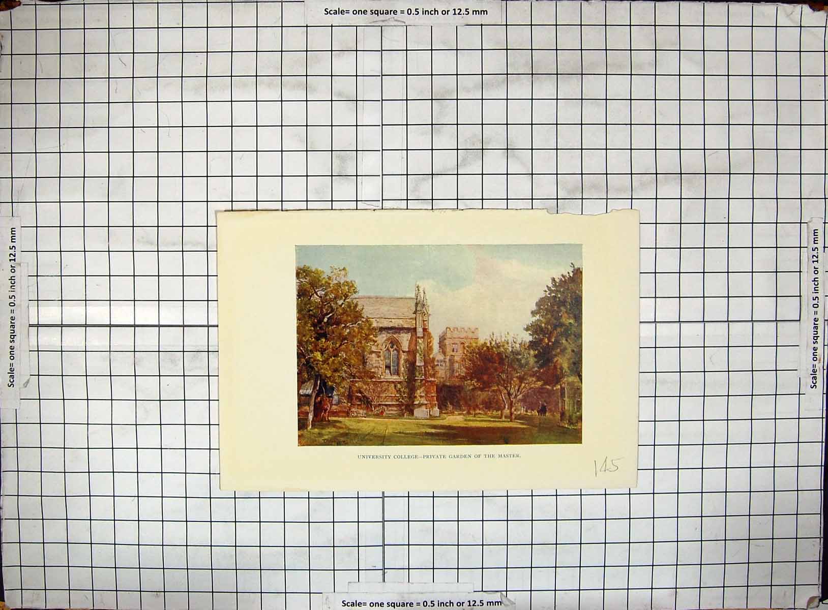 Original Old Antique Print Colour University College Private Garden Master