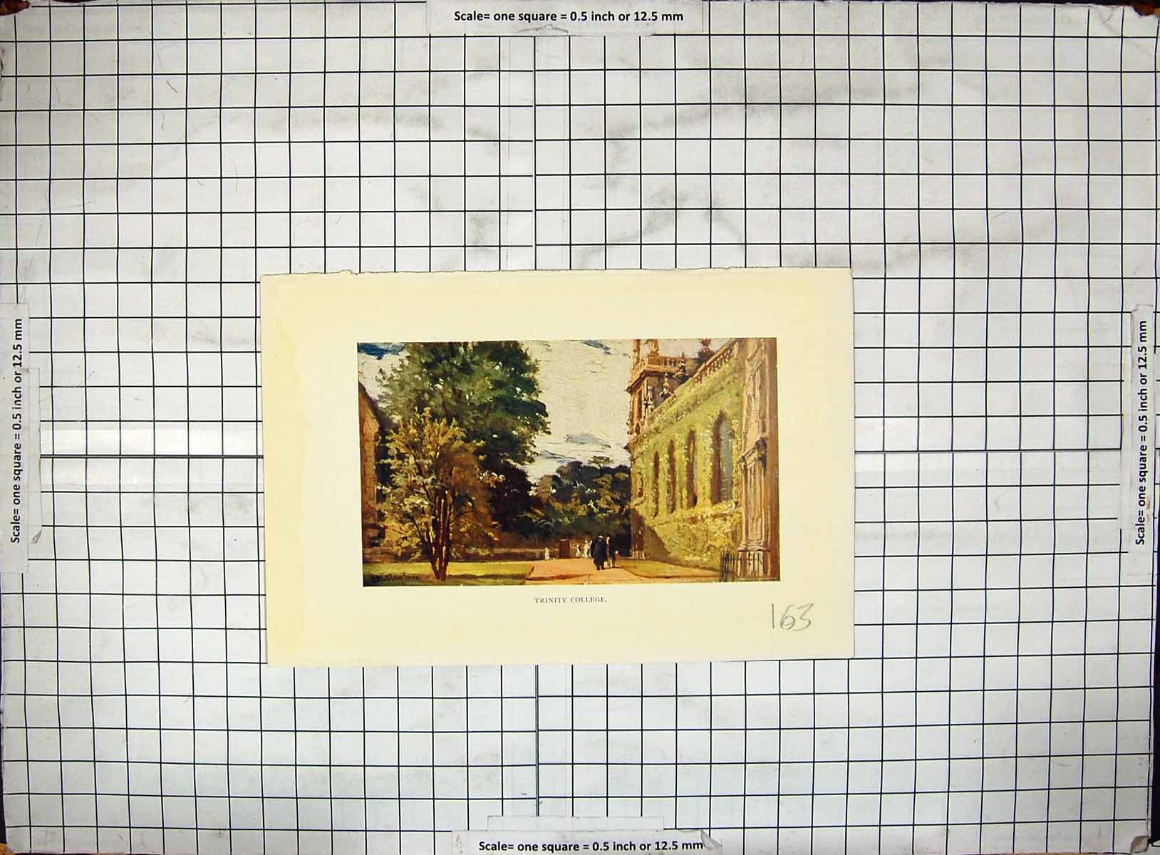 Original Old Antique Print Colour Exterior Trinity College Architecture